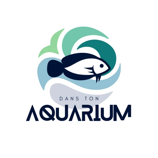 Le Marketing Rochelais